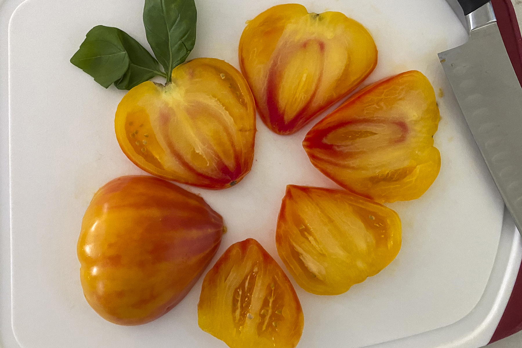 LYC Love Gourmansun Sunrise 1