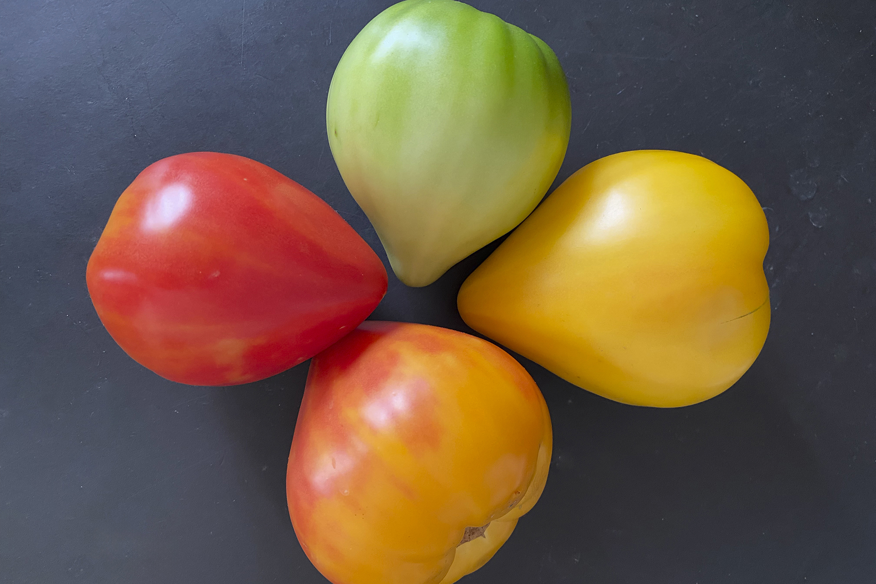 LYC Love Gourmansun Sunrise 1