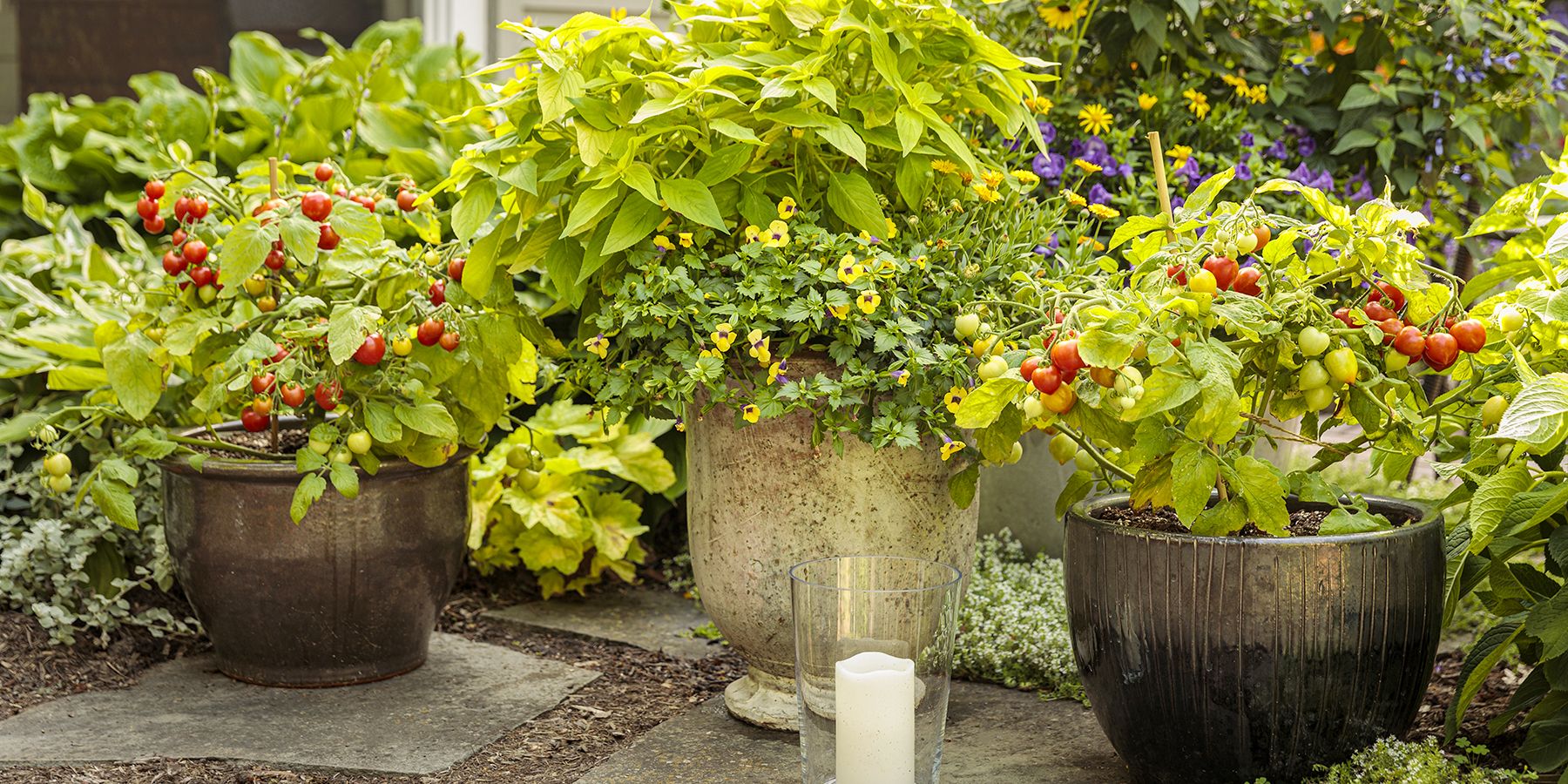 Building a Patio Vegetable Program